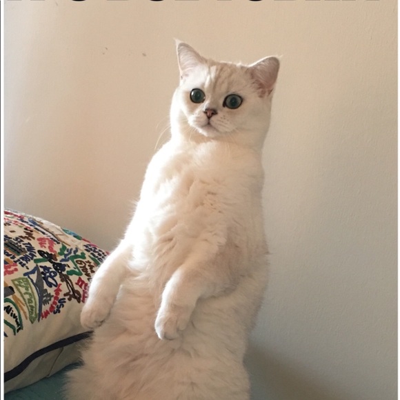 Meet your Posher, Melissa - Picture 4 of 5